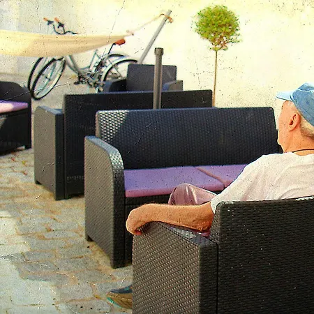 Casa Do Salgueiral Douro