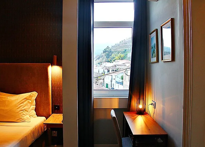 Casa Do Salgueiral Douro Peso da Régua