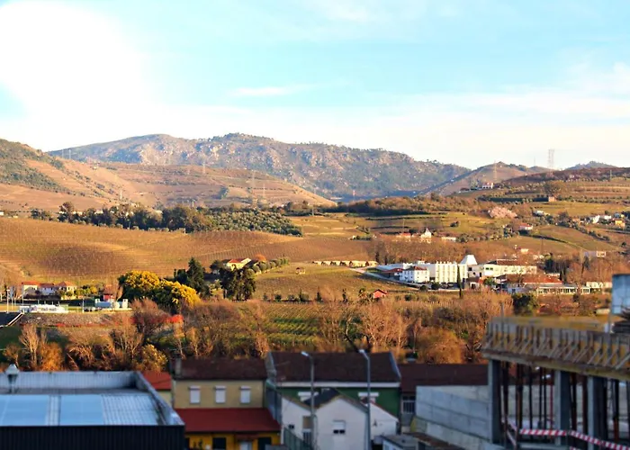 Casa Do Salgueiral Douro Vendégház