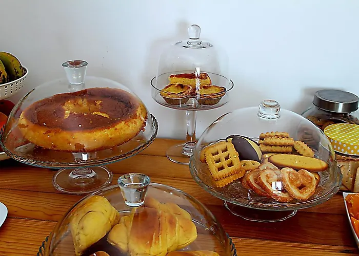 Casa Do Salgueiral Douro